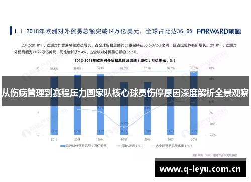 从伤病管理到赛程压力国家队核心球员伤停原因深度解析全景观察 从伤病管理到赛程压力国家队核心球员伤停原因深度解析全景观察