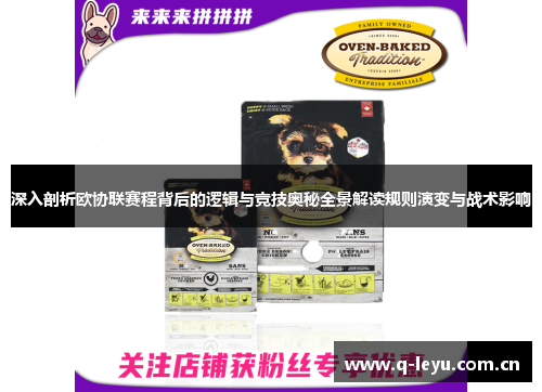 深入剖析欧协联赛程背后的逻辑与竞技奥秘全景解读规则演变与战术影响 深入剖析欧协联赛程背后的逻辑与竞技奥秘全景解读规则演变与战术影响