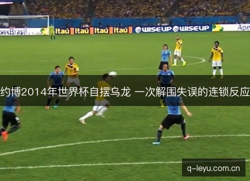 约博2014年世界杯自摆乌龙 一次解围失误的连锁反应